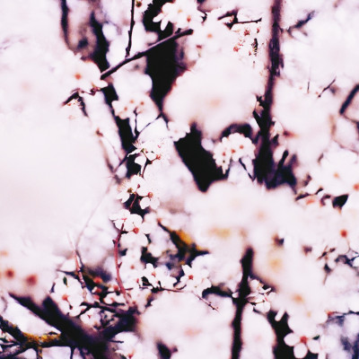 Ruthless Portrait Photoshop Curve