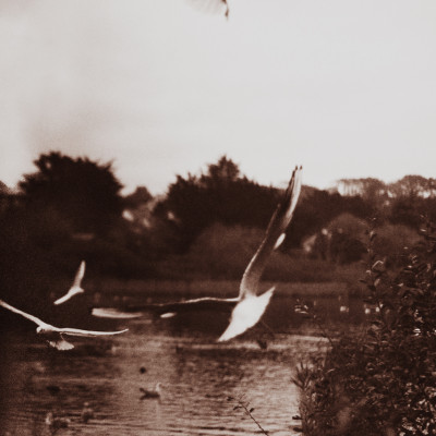 Sepia Vintage Photoshop Action