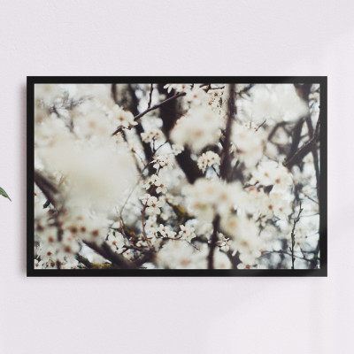 Blossom Nature Photo Print