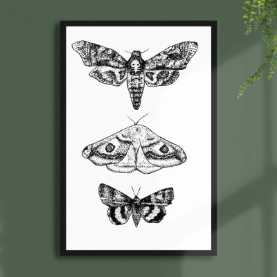 Moths Contemporary Art Print