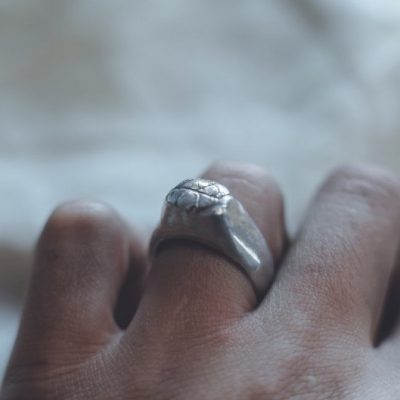 Arden - Leaf Signet Ring