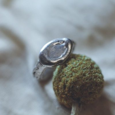 Arden - Molten Signet Ring