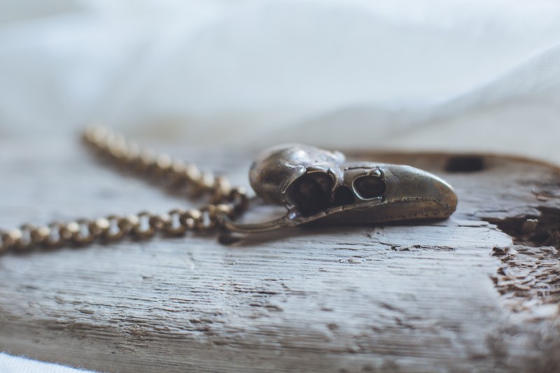 Anouk - Brass Crows Skull Necklace - Image 5