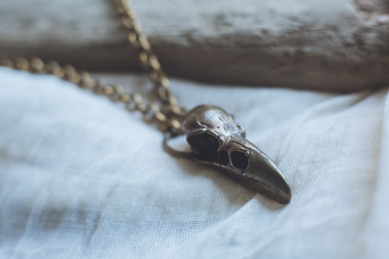 Anouk - Brass Crows Skull Necklace - Image 4