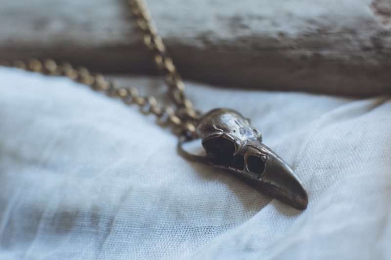 Anouk - Brass Crows Skull Necklace - Image 3